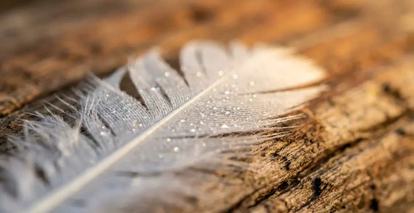 Dettagli macro di una piuma bianca con bagliore dorato su superficie di legno