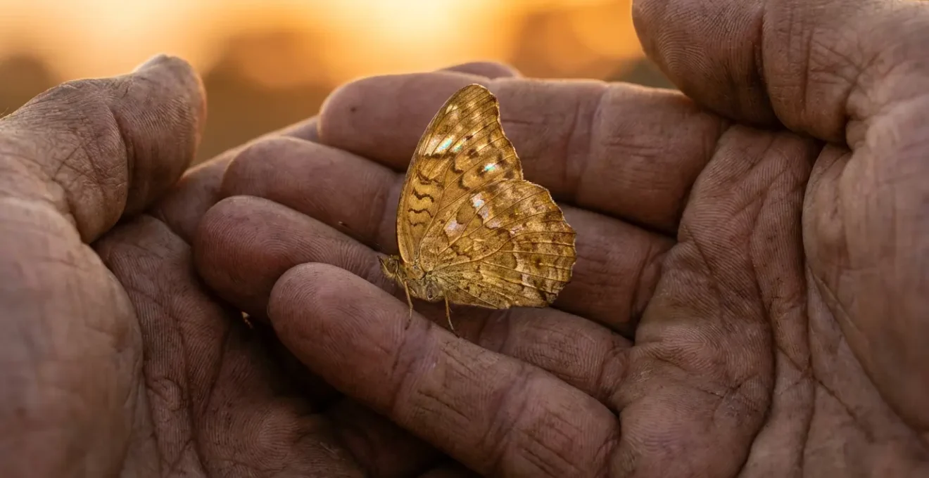 Mani che tengono delicatamente una farfalla dorata, simbolo della trasformazione completata del karma